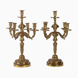 Candelabro estilo Louis XVI de latón dorado con 5 luces de candelabro. Juego de 2