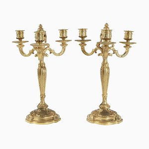 Candélabres Louis XV en Bronze Doré, Set de 2