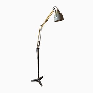 Lámpara de pie Anglepoise de Herbert Terry, años 30