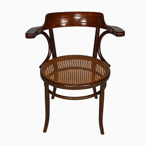 Antique Bentwood Armchair from Fischel, 1900s