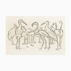 Störche und Flamingos - Original Holzschnitt von Unbekannter Französischer Künstler Anfang 1900