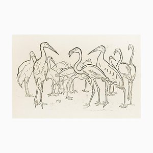 Storks and Flamingos - Original Woodcut by Unknown French Artist Early 1900