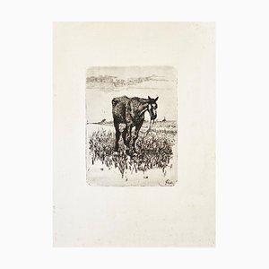 The Old Horse - Original Etching by Giovanni Fattori - 1900-1908 ca. 1900-1908