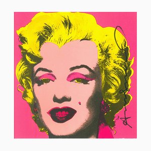 Vintage und Designer Raumteiler online kaufen bei Pamono