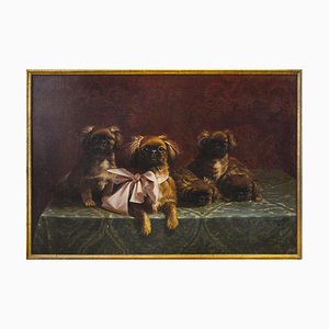 Pekingese Family of Dogs - Oil on Canvas by F.V. Rossi - 1939 1939