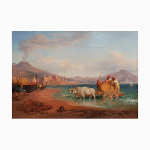 The Wagon of the Coopers in the Gulf of Naples with the Vesuvius on Background