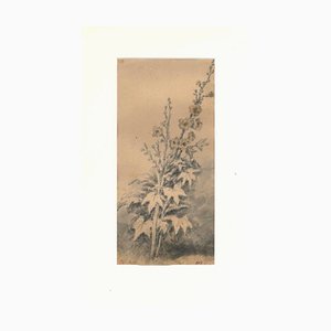 Flora Study - Original Drawing by J. P. Verdussen - End of 18th Century