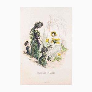 Scabieuse et Souci - Les Fleurs Animées Vol.II - Litho by J.J. Grandville - 1847 1847