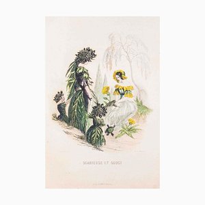 Scabieuse et Souci - Les Fleurs Animées Vol.II - Litho de JJ Grandville - 1847 1847