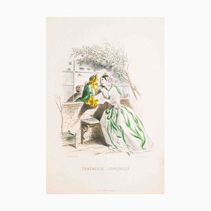 Tubéreuse Jonquille - Les Fleurs Animées Vol.I - Litho von JJ Grandville - 1847 1847