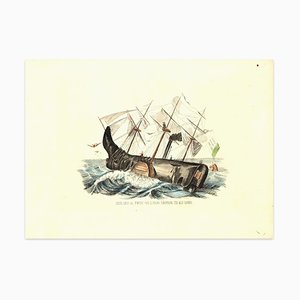 Litografia Lesti alata di Lesti al Timone - acquerellata a mano di A. Masutti - 1848-1848