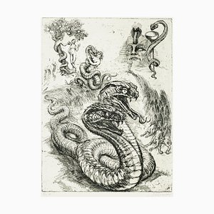 Aguafuerte Serpent - Original de M. Chirnoaga - Finales del siglo XX Finales del siglo XX