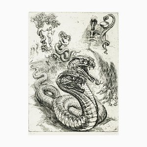 Gravure à l'Eau-Forte Originale Serpent par M. Chirnoaga - Fin 20ème Siècle