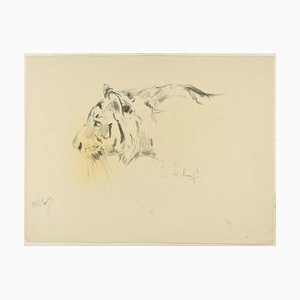 Profile of a Tiger - Original Charcoal Drawing by Willy Lorenz - 1940s 1940s