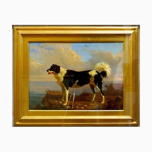 Dog - Oil on Canvas by Filippo Palizzi - Second Half of 19th Century 1950-1860