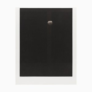 Walnut - Original Mezzotint by Yozo Hamaguchi - 1979 1979