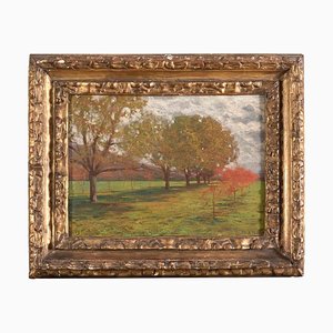 Landscape with Trees - Oil on Cardboard by Alberto Zardo Early 20th Century