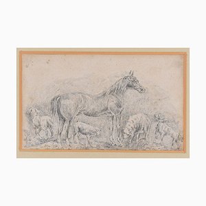 Horse with Herds - Original China Ink Drawing by Filippo Palizzi - 1895 1895