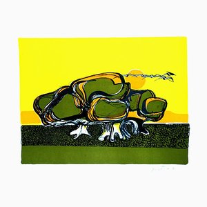 Turtle - Original Lithograph by Carlo Quattrucci - 1971 1971