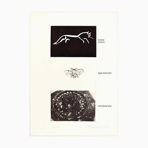 White Horse, Woodhenge - Original Erching von Joe Tilson - 1976 1976