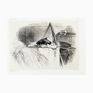 Litografía Pigeon - Original de Karl Bodmer - Finales del siglo XIX Finales del siglo XIX