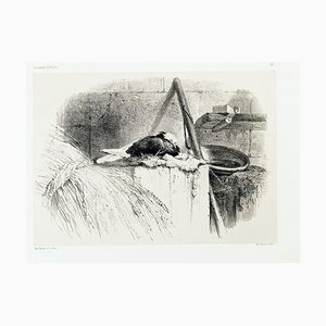 Tige - Original Lithographie von Karl Bodmer - spätes 19. Jahrhundert spätes 19. Jahrhundert