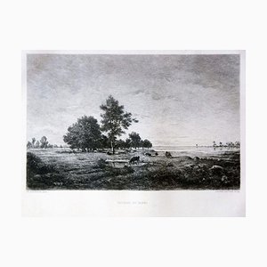 Paysage du Berri - Acquaforte ed acquatinta a sud di Théodore Rousseau - Fine 1800 Fine XIX secolo
