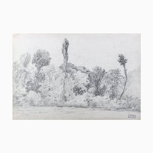 Black and White Landscape - Pencil Drawing on Paper by M.H. Yvert - Late 1800 Late 19th Century
