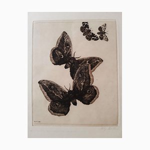Vier Schmetterlinge - Original Etching by Richard Muller - 1899 1899
