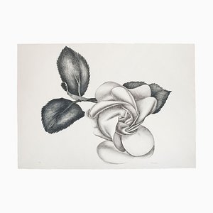 lack Rose - Original Etching by Giacomo Porzano - 1972 1972