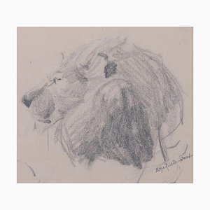 Head of Lion - Original Pencil Drawing by Etha Richter - 1930s 1930s