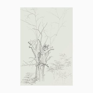 Árbol de invierno - Lápiz de dibujo original de French Mid-Century, mediados del siglo XX