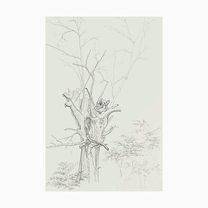 Winter Tree - Original Bleistiftzeichnung von French Master Mitte des 20. Jahrhunderts Mitte des 20. Jahrhunderts