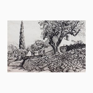 The Olive Tree Behind the Stone Wall by Pierre Dionisi, 1930s