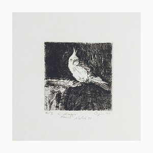 Gravure à l'Eau Forte Originale Parrot par Valerio Cugia - 1995 1995
