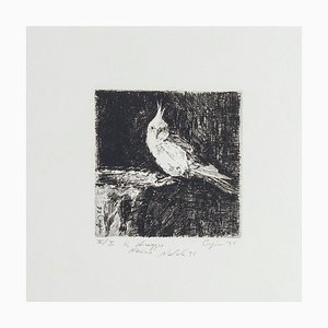 Parrot - Original Etching on Paper by Valerio Cugia - 1995 1995