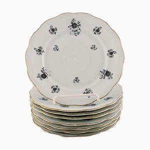 Platos Rubens de porcelana con motivos florales de KPM, Berlin, años 40. Juego de 8