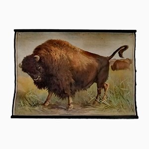 Affiche Vintage de Buffalo
