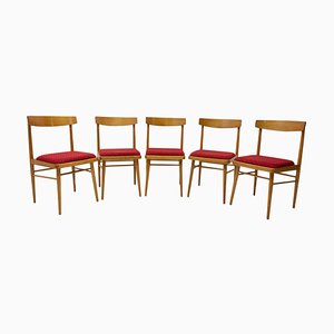 Sedie da pranzo di Thonet, Repubblica Ceca, anni '70, set di 5