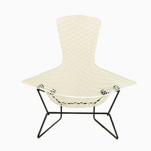 Modell Bird Chair von Harry Bertoia für Knoll International