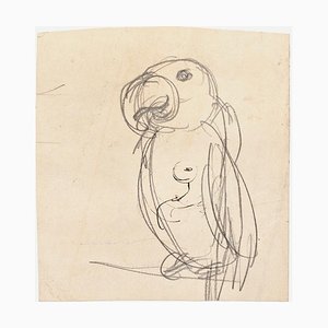 Parrot - Original Pencil on Paper by G. Galantara - Late 19th Century Late 19th Century