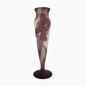 Grand Vase en Verre d'Art Dépoli et Violet par Emile Gallé