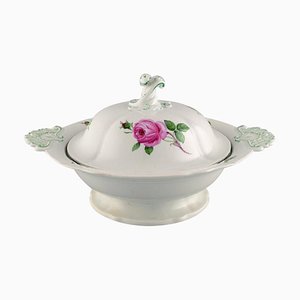 Zuppiera grande antica in porcellana dipinta a mano con rose rosa. Meissen con coperchio