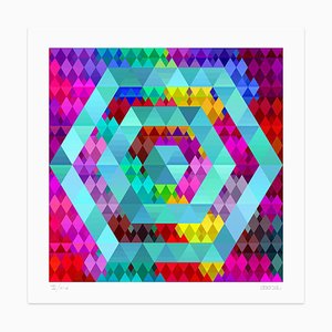 Impression Couleur Hexagon Giclée par Dadodu, 2013