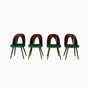 Esszimmerstühle von Antonin Suman für Tatra, 1960er, Set of 4