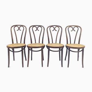 Mid-Century Bentwood & Cane Dining Chairs by Michael Thonet for ZPM Radomsko, 1960s, Set of 4