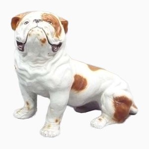 Bulldog inglés Mid-Century de loza, años 60