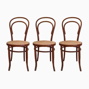 No. 14 Dining Chairs by Michael Thonet for Fischel, 1920s, Set of 3