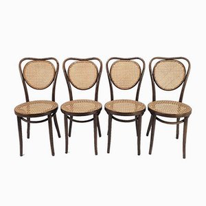 Mid-Century Bentwood & Cane Dining Chairs by Michael Thonet for ZPM Radomsko, 1960s, Set of 4