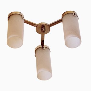 French Art Deco Petitot Style Ceiling Light